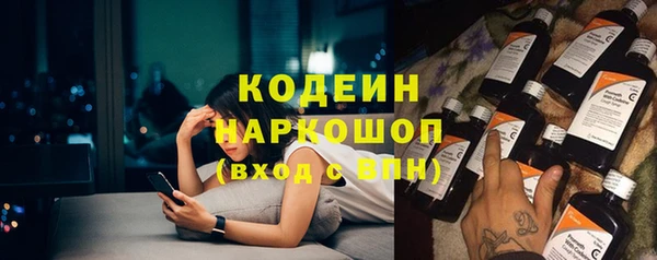 метадон Алексин