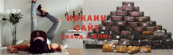 ECSTASY Алзамай
