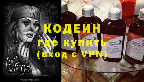 метадон Алексин