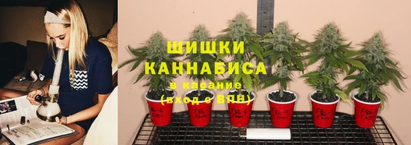 трава Алексеевка