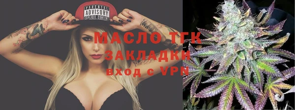 твердый Михайлов